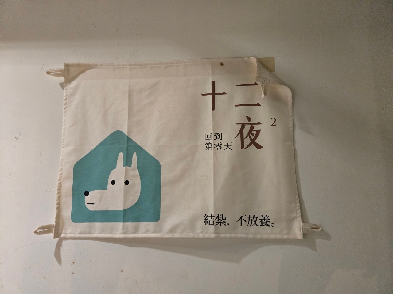 浪浪別哭店內布置-十二夜電影-以領養代替購買