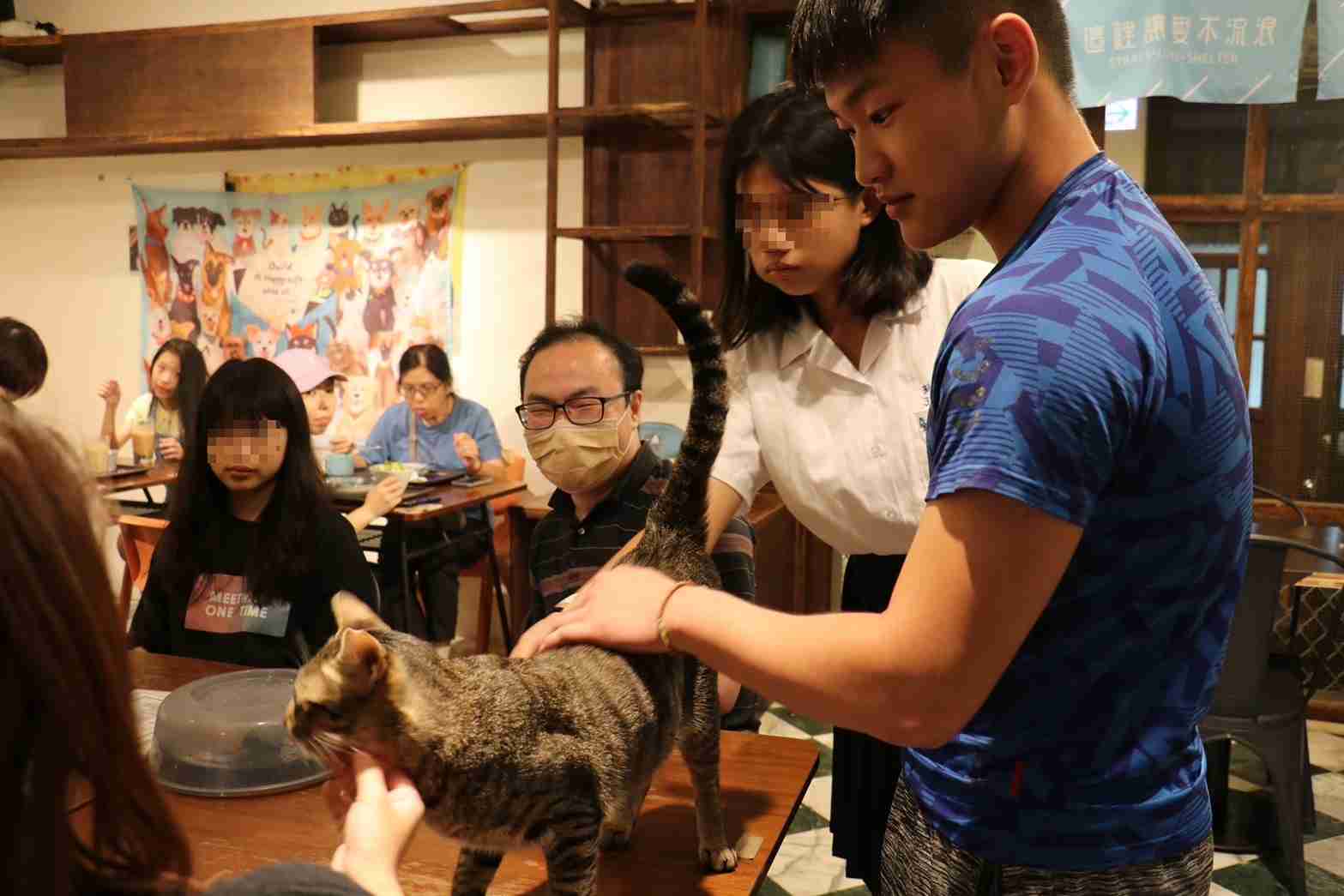 學員接觸浪浪別哭的待送養的犬貓1