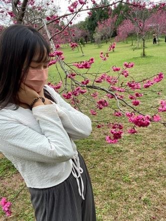 拼出絢爛藍圖，築起未來/ 豆豆(標題圖檔)